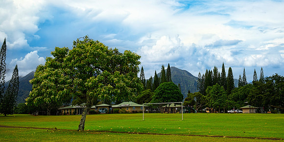 DSC_2466