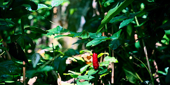 DSC_3053 a