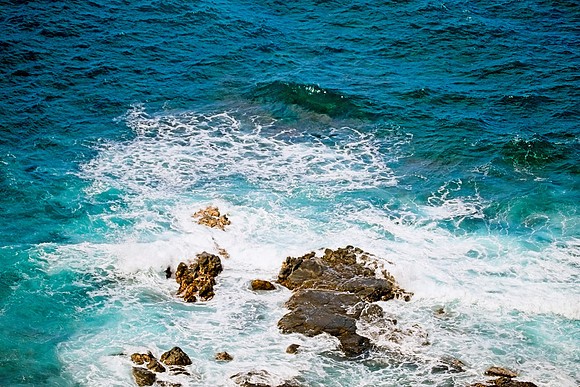 DSC_2961