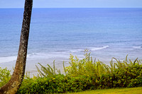 DSC_2438 S