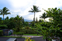 DSC_2424 S