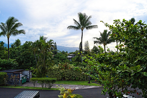 DSC_2424 S