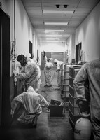 DCS_3061 BW