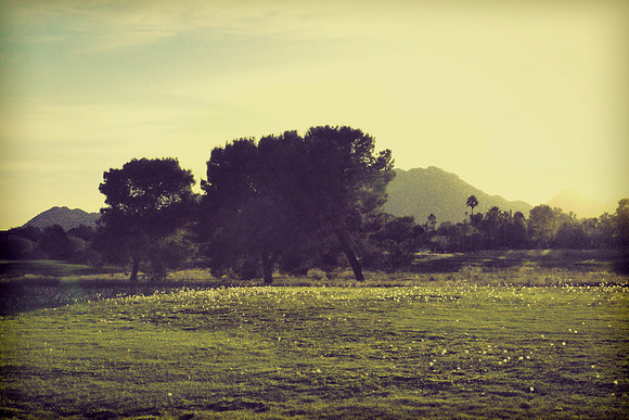 _DCS4942a