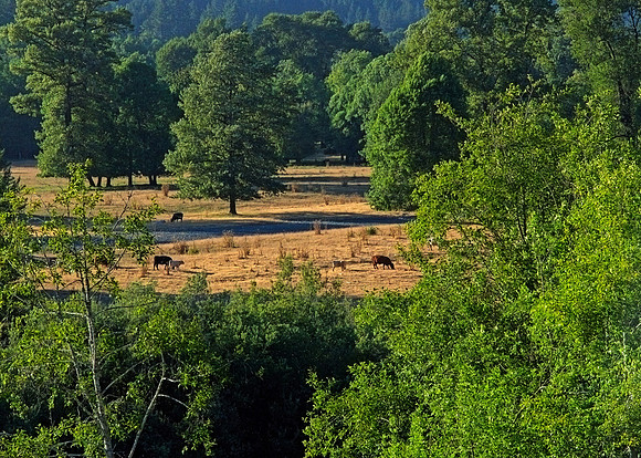 DSC_7481