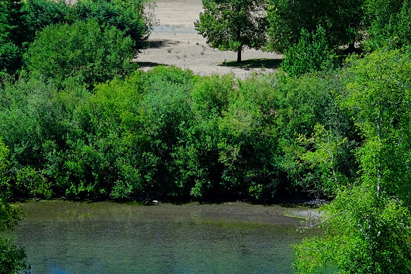 DSC_6967